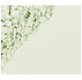 High Definition Finishing Powder - Mint Green